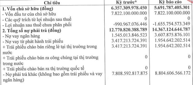 Một công ty con của Novaland lỗ lũy kế hơn 1.655 tỷ đồng- Ảnh 1.