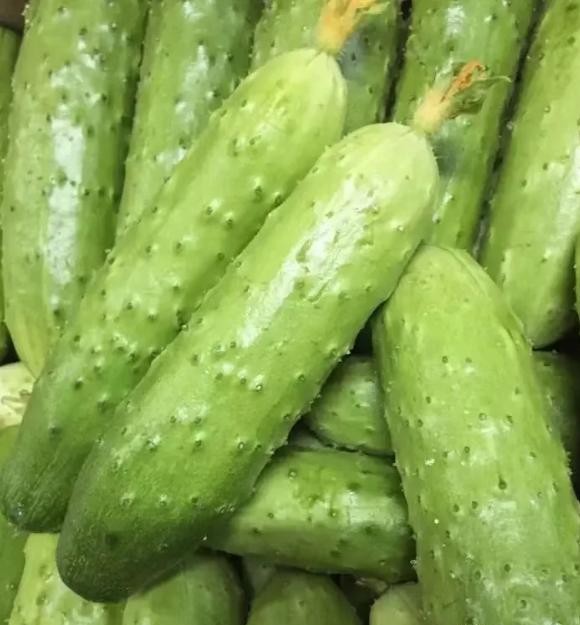 Đừng tùy tiện chọn bất kỳ quả dưa chuột nào! Tránh 4 lỗi này thì ngay cả những người bán rau cũng phải gọi bạn là chuyên gia - Ảnh 2.