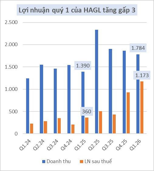 Hoàng Anh Gia Lai báo lãi quý 1 hơn 1.000 tỷ, tăng gấp 3: Điều gì đã xảy ra?- Ảnh 2.