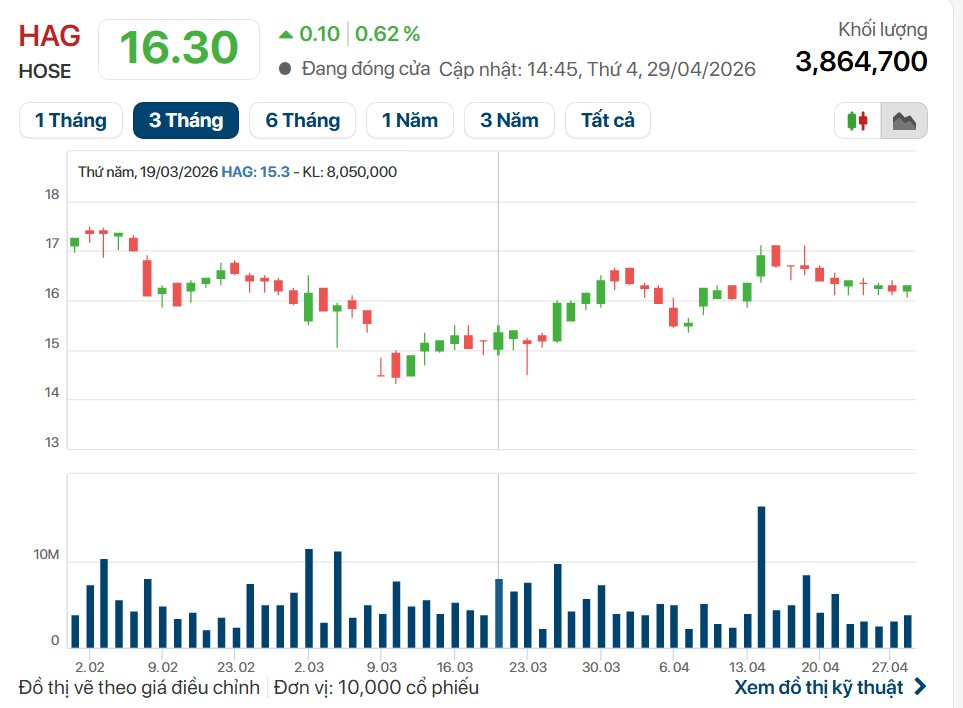 Hoàng Anh Gia Lai báo lãi quý 1 hơn 1.000 tỷ, tăng gấp 3: Điều gì đã xảy ra?- Ảnh 3.