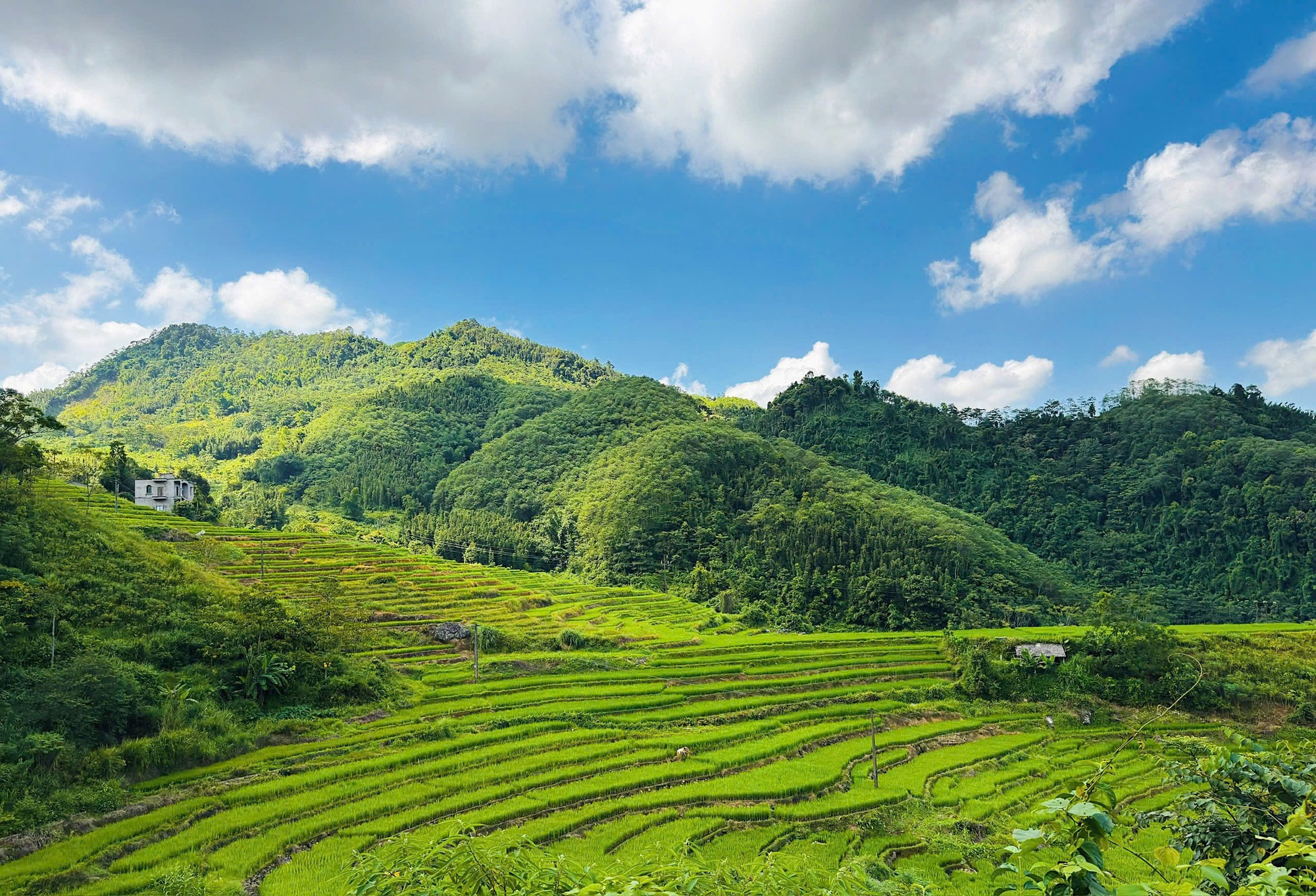 Biển người đổ về Phú Thọ - Ảnh 2.