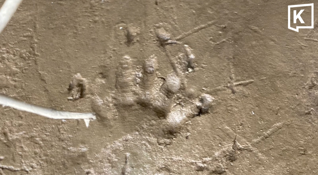 Bờ sông xuất hiện hàng loạt dấu chân lạ, chuyên gia vừa nhìn liền phác họa: 