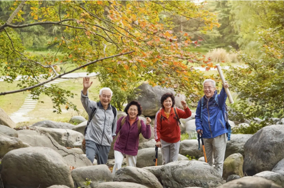 Lương hưu 10 triệu đồng, vợ chồng U65 thoả thích đi du lịch, dưỡng già, sau 5 năm hối hận vô cùng: Không có kế hoạch tuổi già khó sống- Ảnh 2.