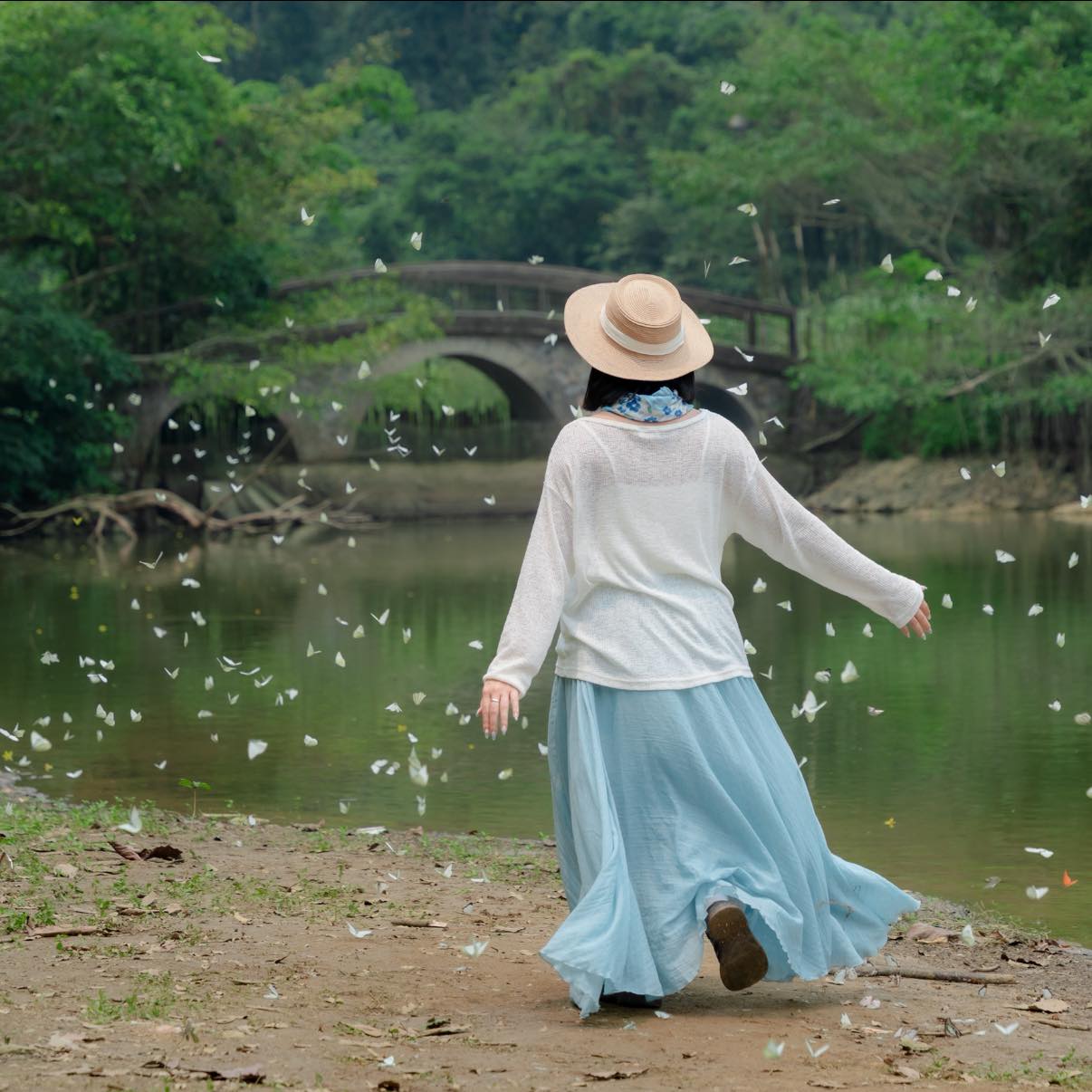 Lạc vào "thế giới Ghibli" giữa đời thực: Mùa bướm Cúc Phương rực rỡ nhất năm đã gọi tên, trốn phố về rừng ngay thôi!- Ảnh 10.