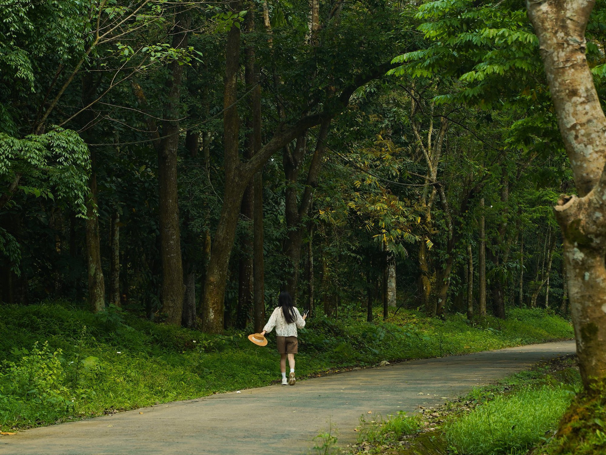 Lạc vào "thế giới Ghibli" giữa đời thực: Mùa bướm Cúc Phương rực rỡ nhất năm đã gọi tên, trốn phố về rừng ngay thôi!- Ảnh 5.