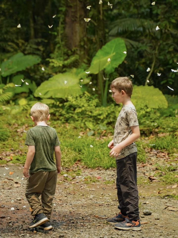 Lạc vào "thế giới Ghibli" giữa đời thực: Mùa bướm Cúc Phương rực rỡ nhất năm đã gọi tên, trốn phố về rừng ngay thôi!- Ảnh 3.