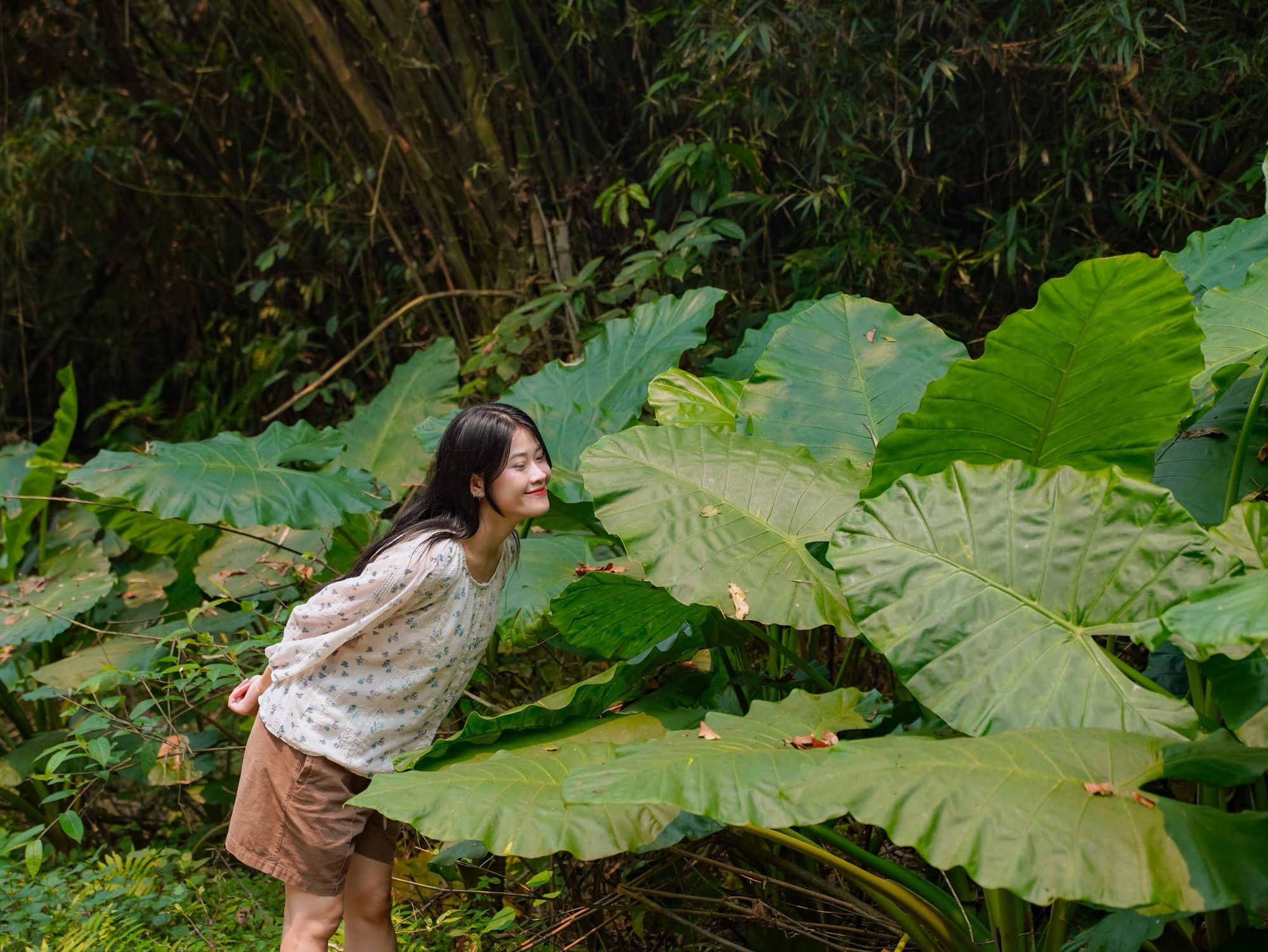 Lạc vào "thế giới Ghibli" giữa đời thực: Mùa bướm Cúc Phương rực rỡ nhất năm đã gọi tên, trốn phố về rừng ngay thôi!- Ảnh 12.