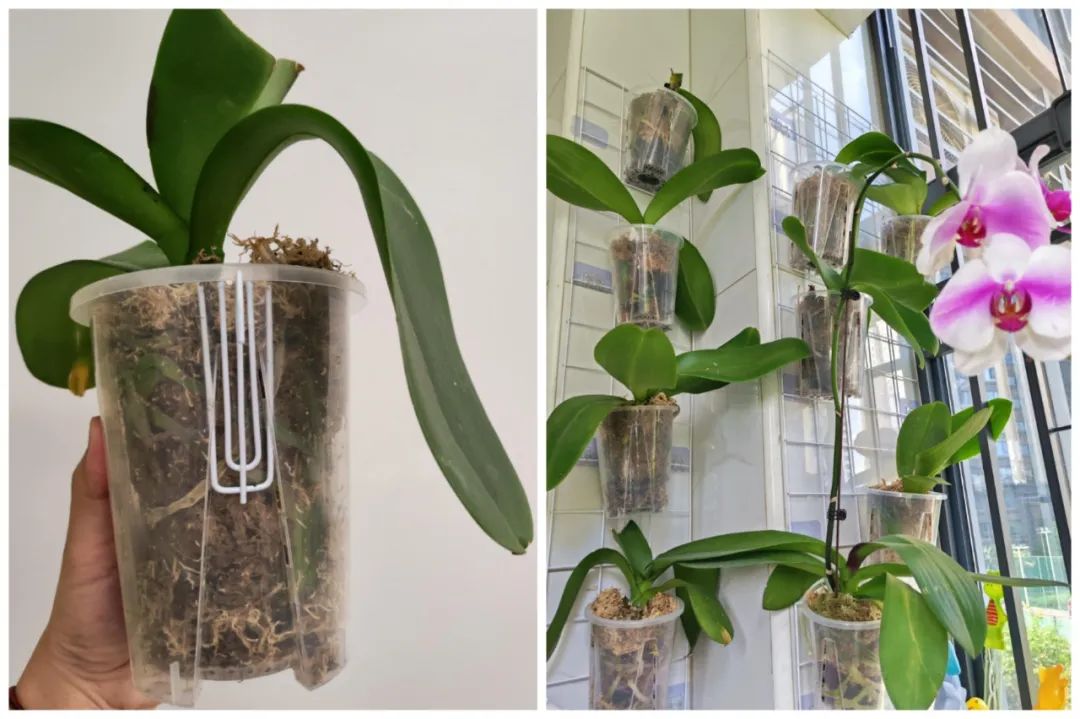 Dùng đồ gia dụng “ngược lại”, tôi tiết kiệm được gần một nửa chi phí mua sắm trong nhà- Ảnh 8.