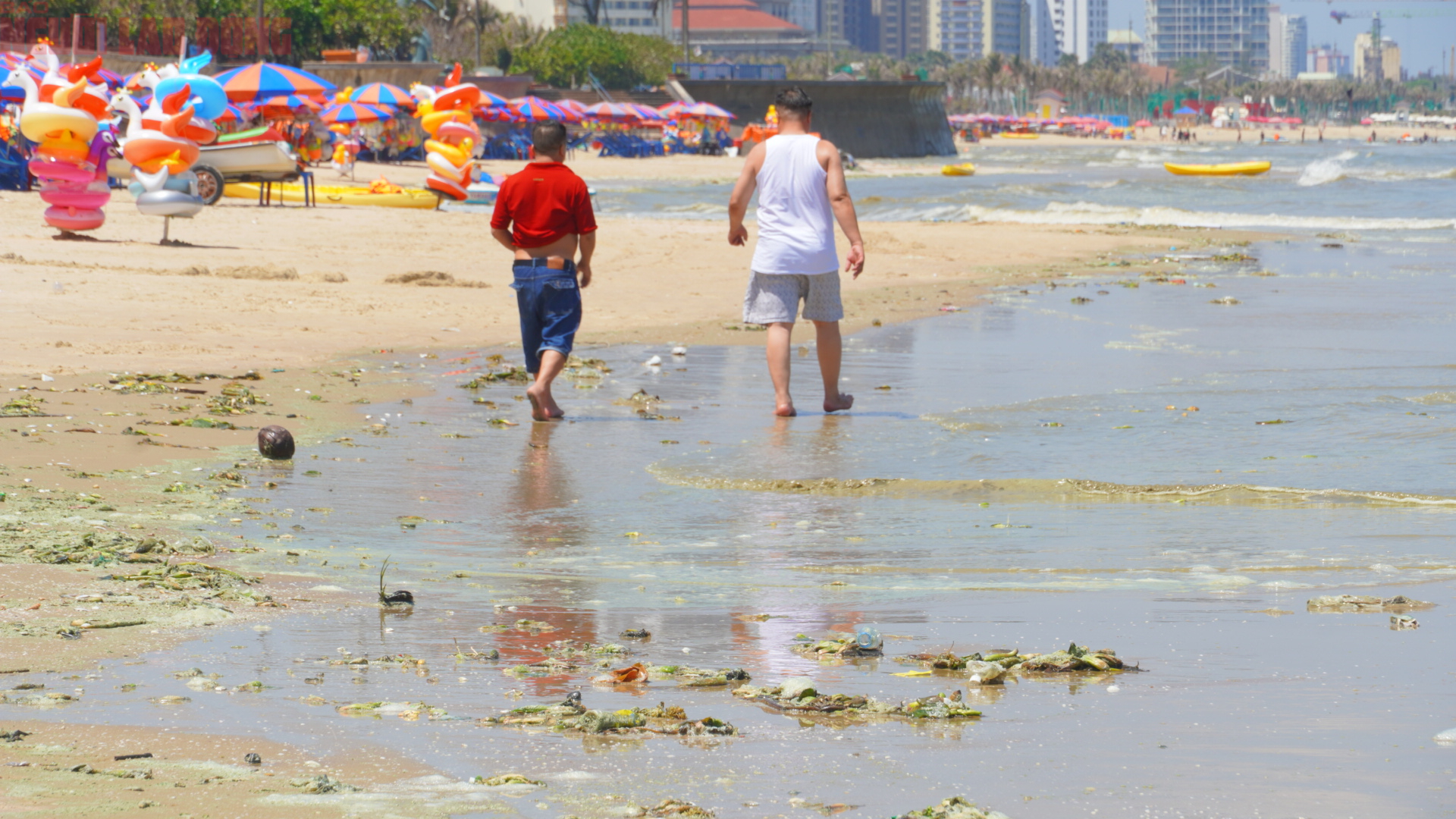 Biển Bãi Sau Vũng Tàu chuyển màu xanh như matcha , du khách lo ngại điều gì? - Ảnh 5. Biển Bãi Sau Vũng Tàu chuyển màu xanh như matcha , du khách lo ngại điều gì? - Ảnh 5.