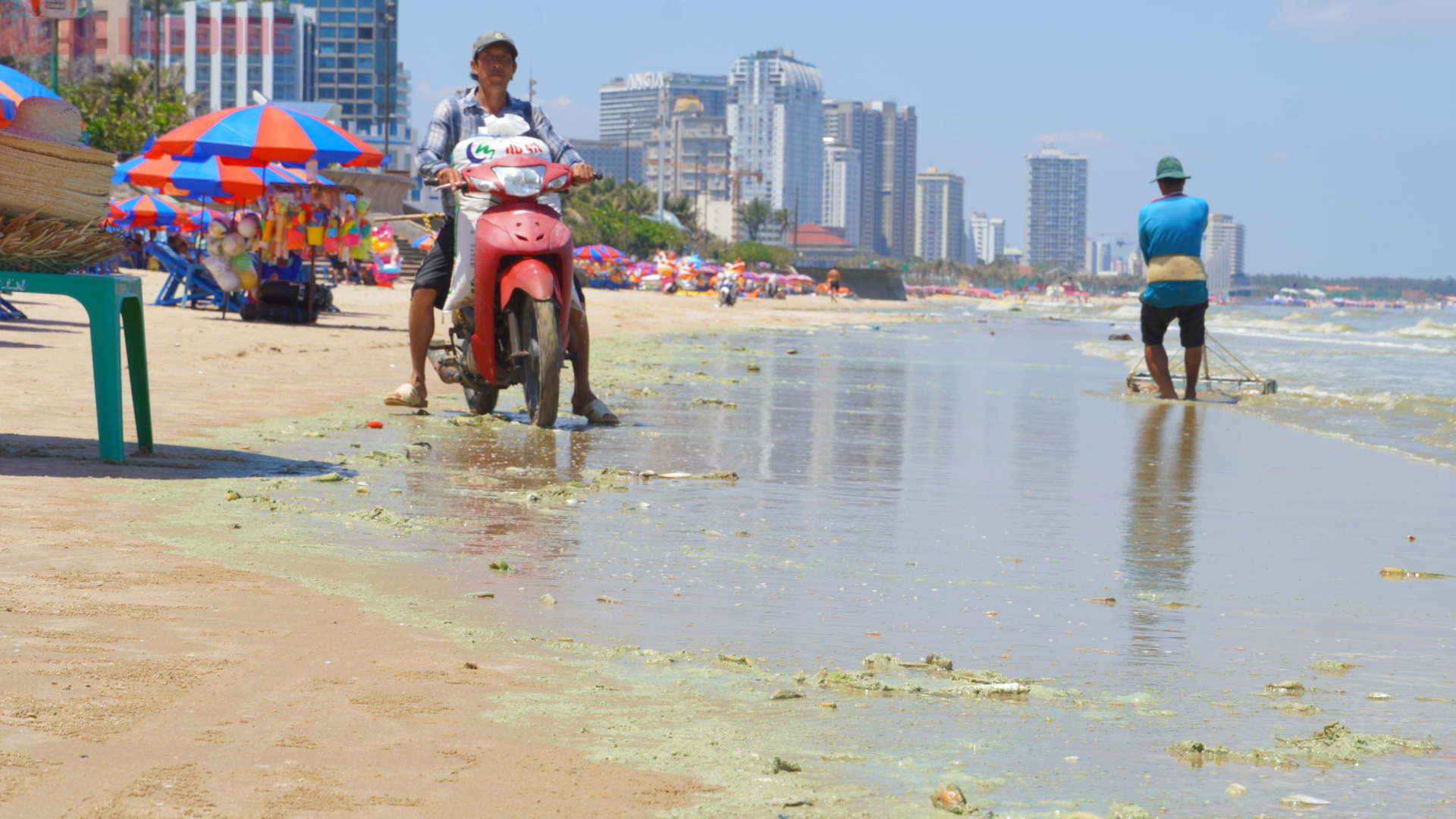 Biển Bãi Sau Vũng Tàu chuyển màu xanh như matcha , du khách lo ngại điều gì? - Ảnh 8. Biển Bãi Sau Vũng Tàu chuyển màu xanh như matcha , du khách lo ngại điều gì? - Ảnh 8.