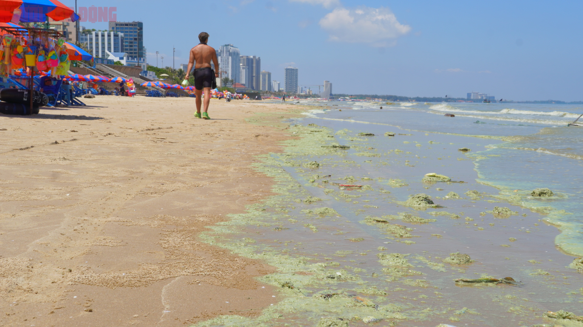 Biển Bãi Sau Vũng Tàu chuyển màu xanh như matcha , du khách lo ngại điều gì? - Ảnh 9. Biển Bãi Sau Vũng Tàu chuyển màu xanh như matcha , du khách lo ngại điều gì? - Ảnh 9.