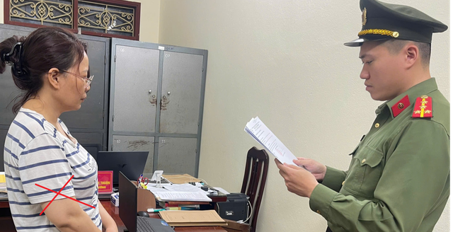 Thi hành lệnh bắt tạm giam Cao Thị Hạnh- Ảnh 1.