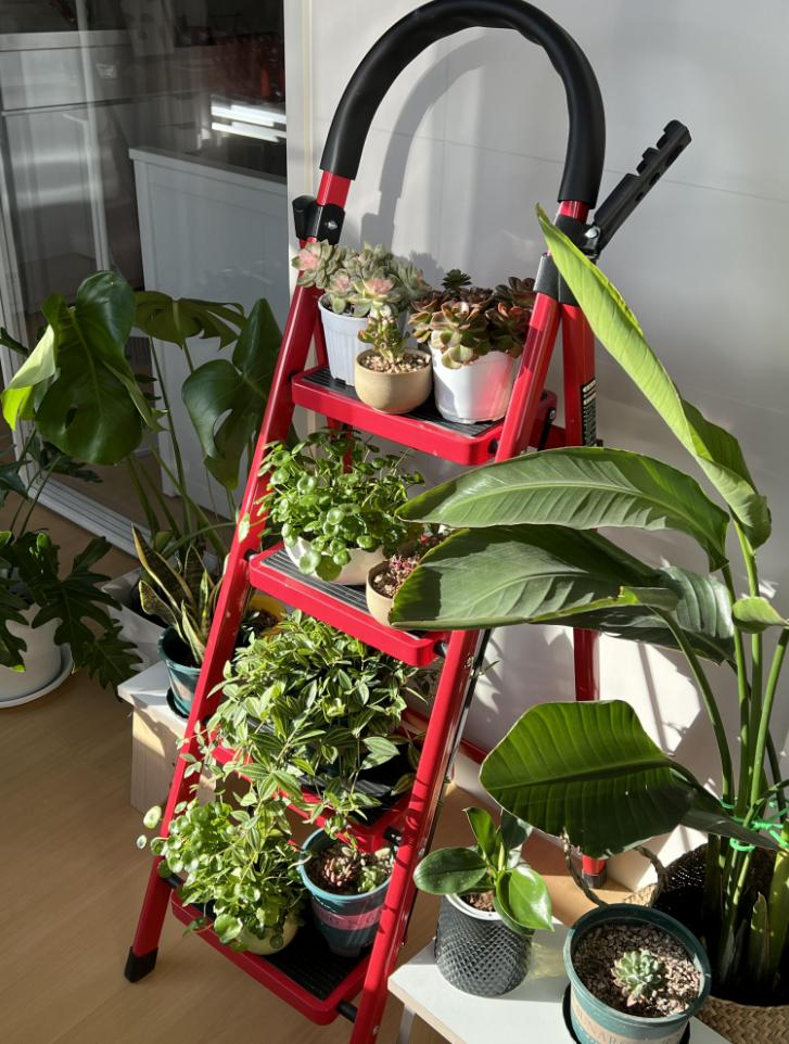 Dùng đồ gia dụng “ngược lại”, tôi tiết kiệm được gần một nửa chi phí mua sắm trong nhà- Ảnh 3.