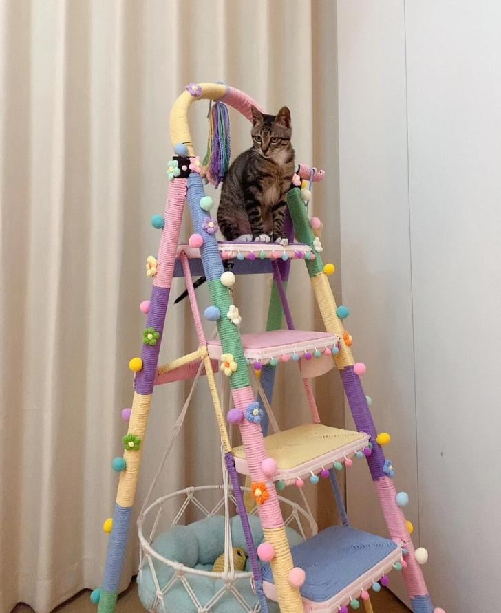 Dùng đồ gia dụng “ngược lại”, tôi tiết kiệm được gần một nửa chi phí mua sắm trong nhà- Ảnh 2.