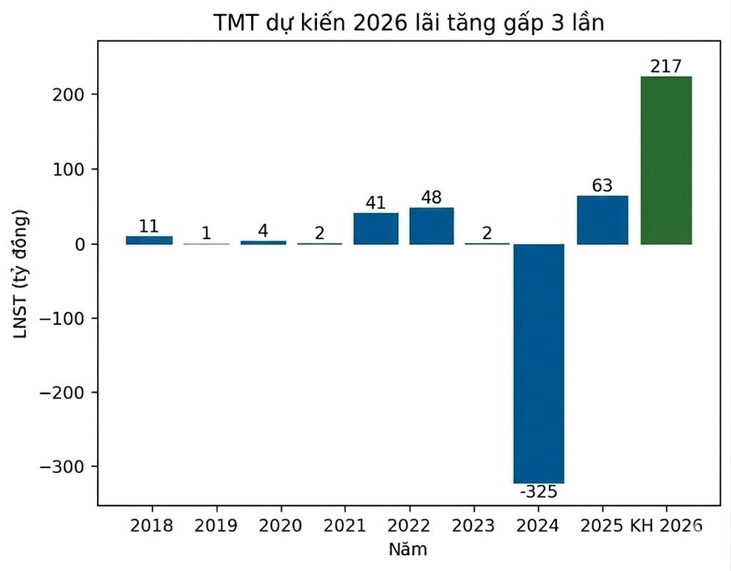 Đại gia buôn ô tô dự kiến 2026 lãi tăng gấp 3 lần, đánh mạnh sang xe điện- Ảnh 1.