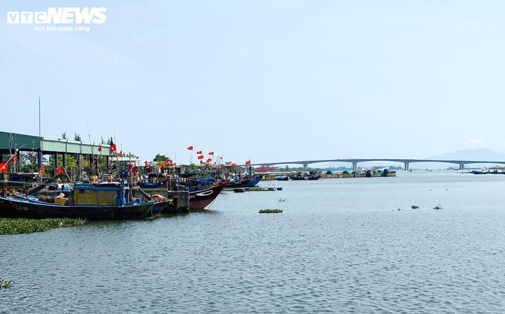 Vì sao cảng cá 120 tỷ ở Đà Nẵng xây xong 'chỉ để ngắm'?- Ảnh 2.