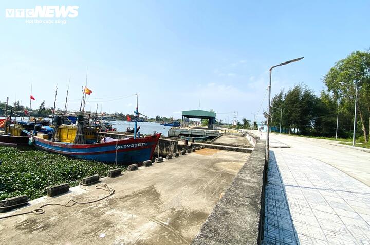 Vì sao cảng cá 120 tỷ ở Đà Nẵng xây xong 'chỉ để ngắm'?- Ảnh 3.