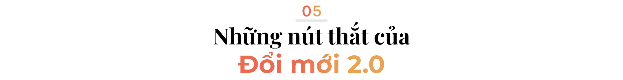 Việt Nam cải cách với tham vọng lớn nhất sau 40 năm, TS Nguyễn Đình Cung nhấn mạnh 8 chữ quan trọng - Ảnh 4.