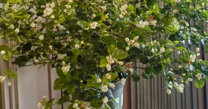 Đột quỵ rất “sợ” người thường uống nước vào giờ này: Thải sạch độc tố cả cơ thể, ngủ dậy thấy khỏe như vâm - Ảnh 3.