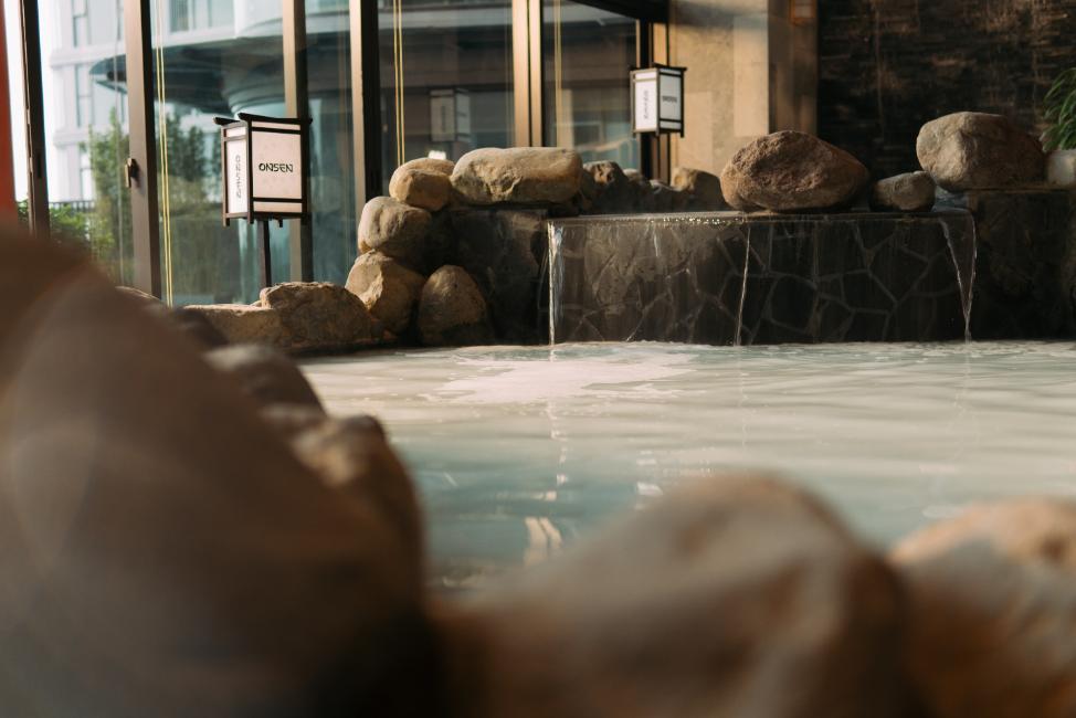 Khám phá Forest Onsen: Sản phẩm onsen trị liệu mỗi ngày từ nhà sáng lập Ecopark - Ảnh 5.