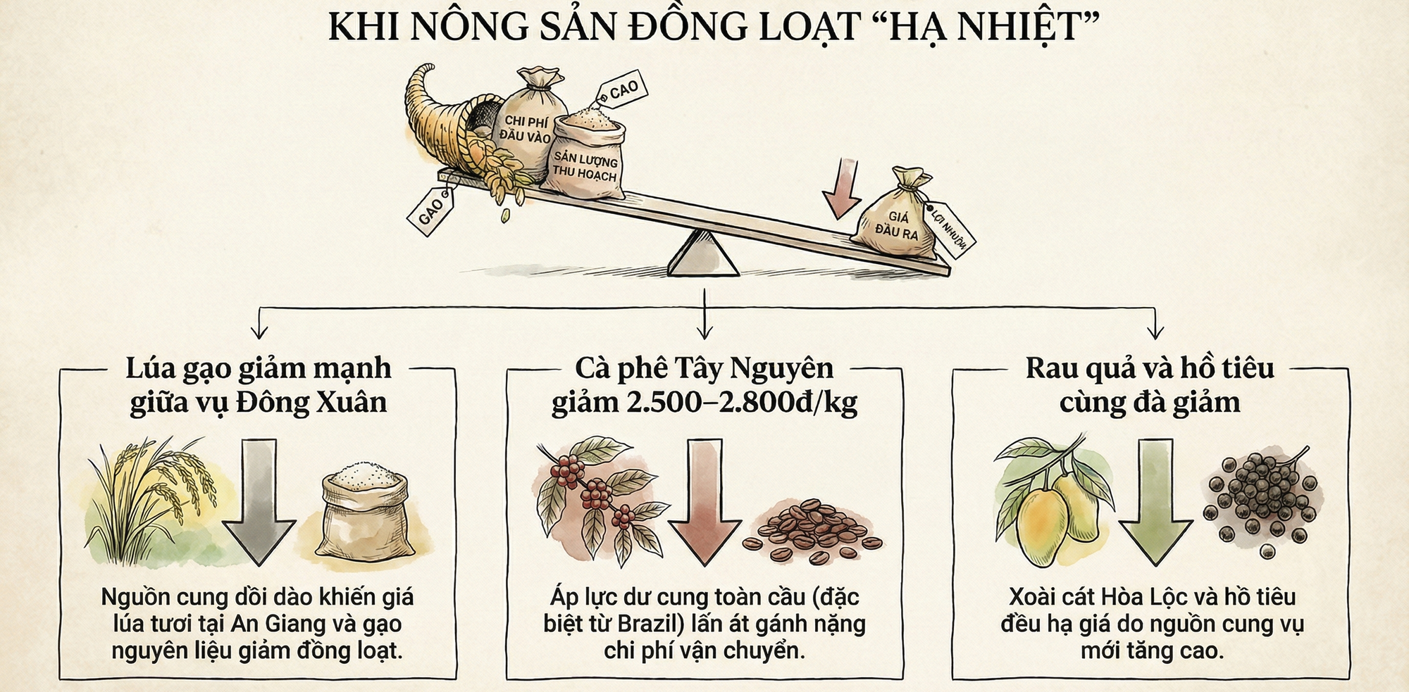 Căng thẳng Trung Đông: Phân bón tăng sốc, có loại vượt 1,1 triệu/bao, nông sản lại lao dốc, chuyện gì đang xảy ra? - Ảnh 3.