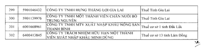 Cục Thuế đưa một 'ông lớn' thực phẩm Hàn Quốc vào diện rà soát khi doanh thu nghìn tỷ nhưng thua lỗ- Ảnh 3.
