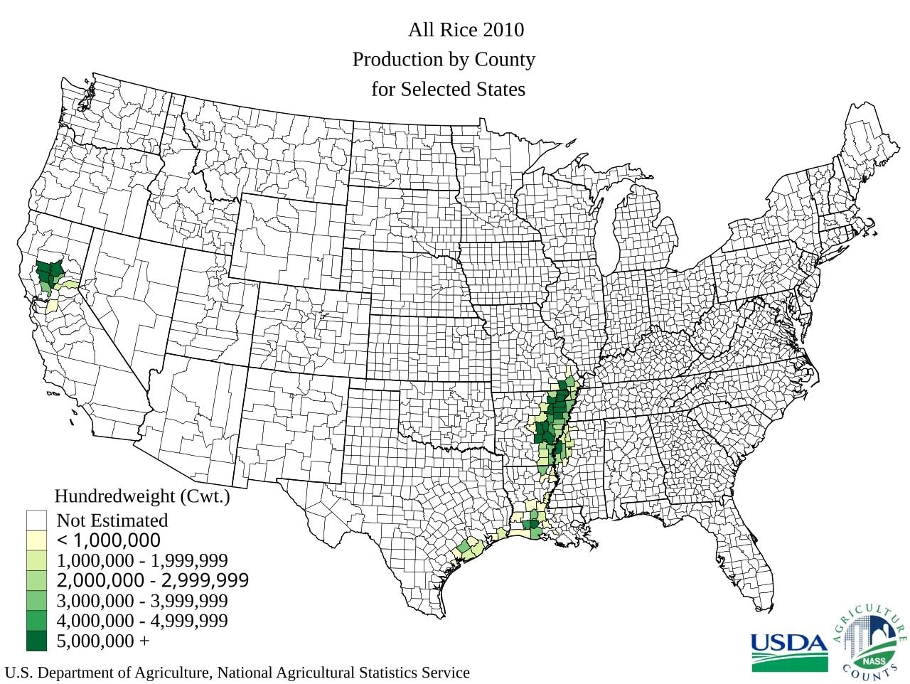 Hoa Kỳ đang bán gạo khắp châu Á: Hàn Quốc chốt đơn 11.000 tấn, Indonesia nhập 1.000 tấn - nguồn gạo từ đâu ra? - Ảnh 3.