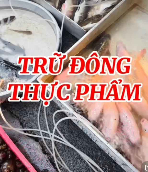 Đi chợ theo tuần, cấp đông thông minh: Cách người mẹ duy trì nấu cơm 3 bữa/ngày cho cả gia đình với 7 triệu/tháng- Ảnh 1.