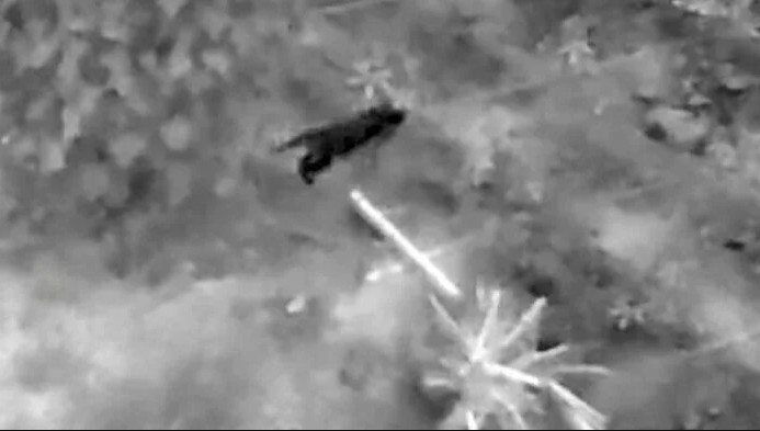 Sinh vật bí ẩn phá nát vườn chuối suốt 2 tuần: 60 người truy tìm khi camera nhiệt ghi lại bóng dáng lạ - Ảnh 4.