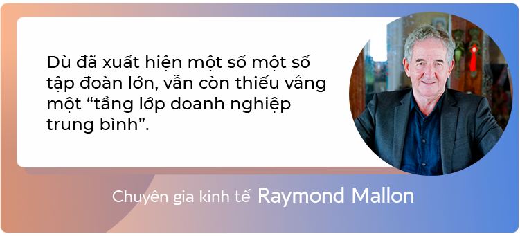 Từ gia công cho Ford, Honda cho đến sự xuất hiện của thế hệ doanh nghiệp tỷ đô Vingroup, FPT, Hòa Phát…: Thấy gì về sự “lột xác” của kinh tế tư nhân Việt Nam? - Ảnh 14.