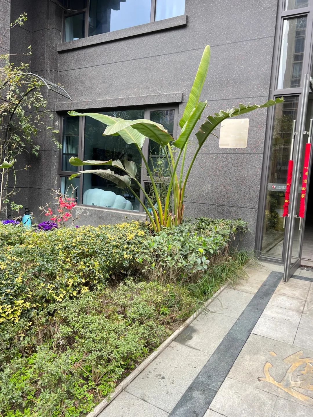 Mẹ Hà Nội chia sẻ: Tôi từng nghĩ mua căn hộ tầng 1 là “quá tiện” - đến khi sống mới thấy "hứng đủ" 4 bất tiện khó nói- Ảnh 3.