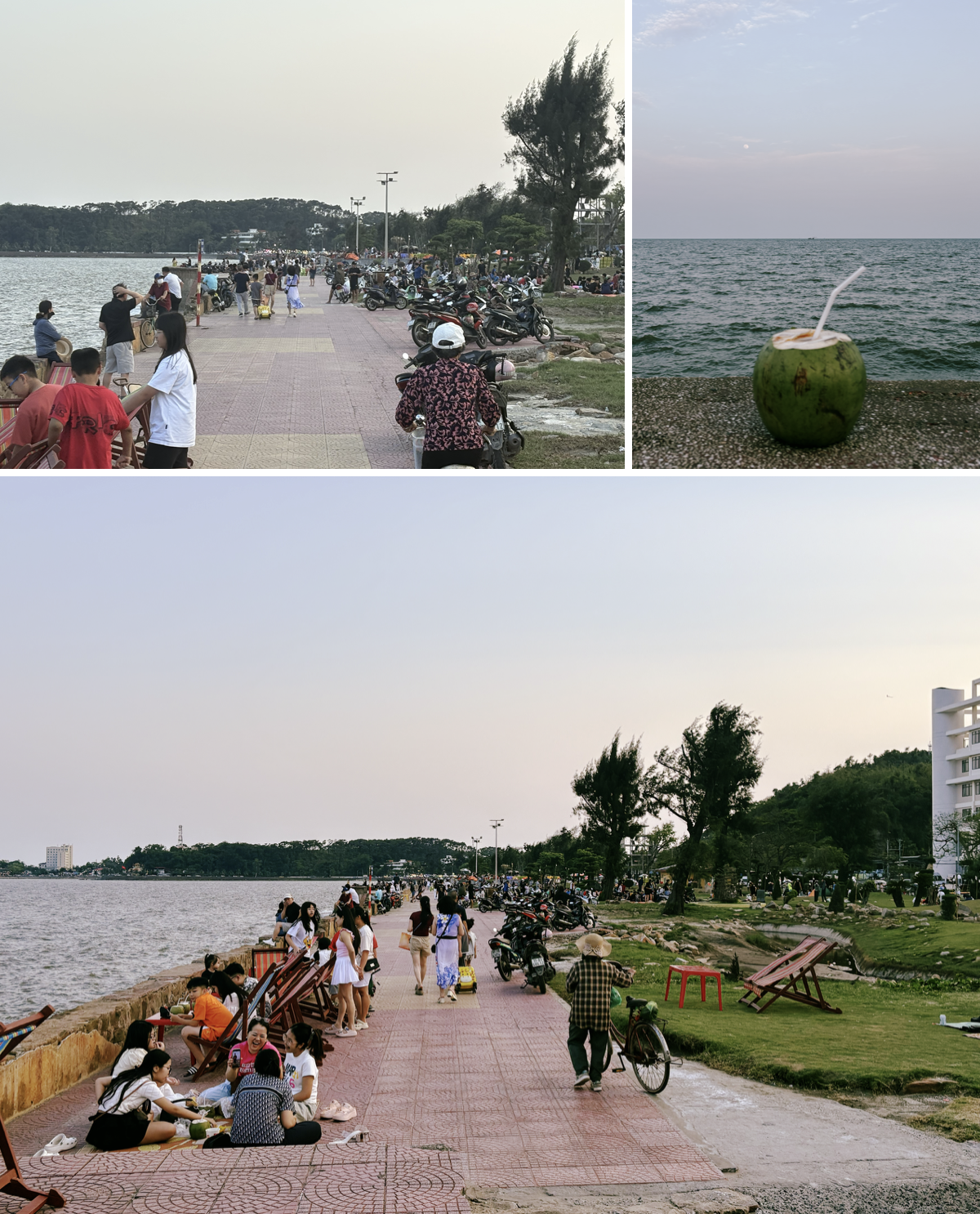 Người Hà Nội còn ở Hải Phòng không? Bật mí chỗ ngắm biển cực chill không đông đúc, dừa 40k một quả, ghế ngồi không tính tiền!- Ảnh 2.