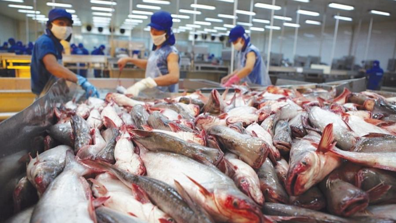 Một đặc sản Việt đang 'đổi vận' nhờ sức mua khủng từ nước láng giềng: Thu về hơn 500 triệu USD trong quý I  - Ảnh 3.
