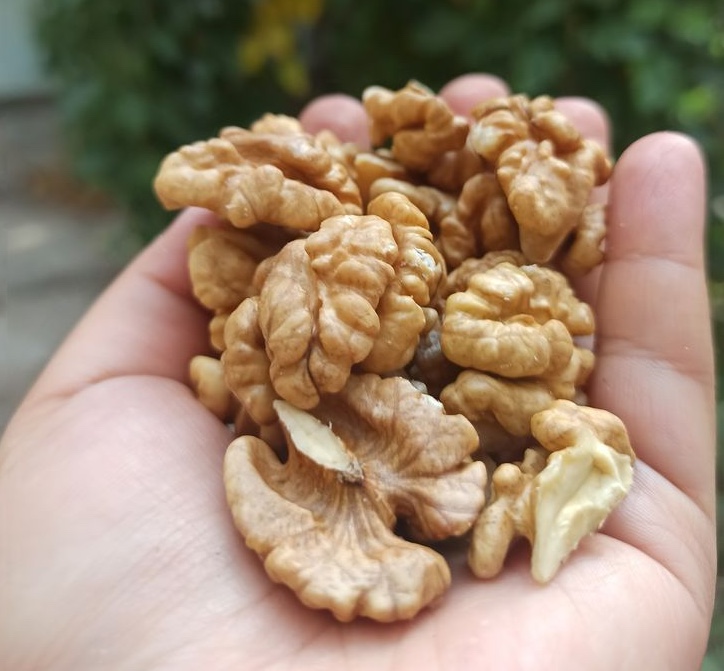 Các chuyên gia Mỹ tiết lộ 5 loại hạt tốt nhất cho sức khỏe, theo bạn óc chó đứng thứ mấy trong bạng xếp hạng?- Ảnh 1.