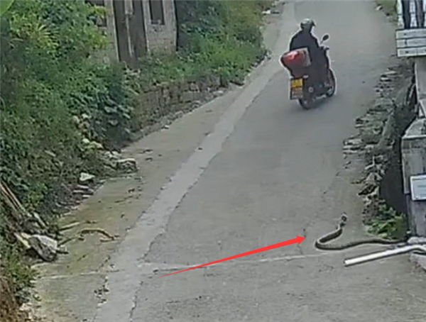 Chi tiết bất thường ở nhà hàng xóm khiến người đàn ông vội gọi cảnh sát: Sự thật khiến ai cũng rùng mình - Ảnh 2.