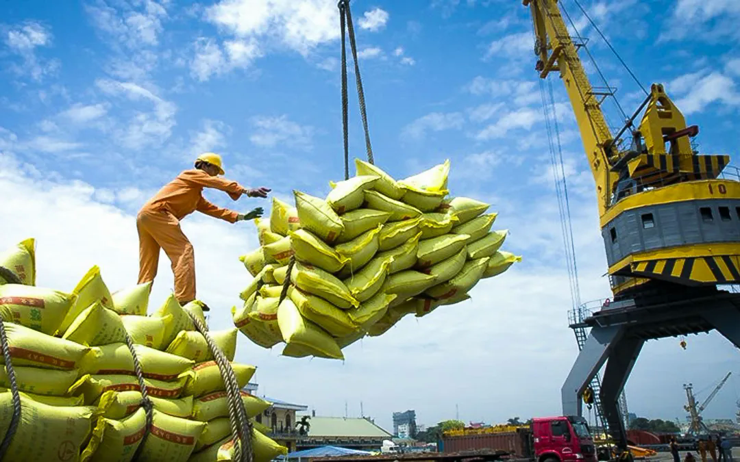Giá gạo xuất khẩu tăng - Ảnh 1.