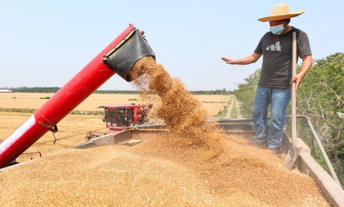 Không phải sầu riêng, Campuchia vừa đón tin cực vui ở mặt hàng đang cạnh tranh với Việt Nam - Trung Quốc góp công lớn- Ảnh 1.