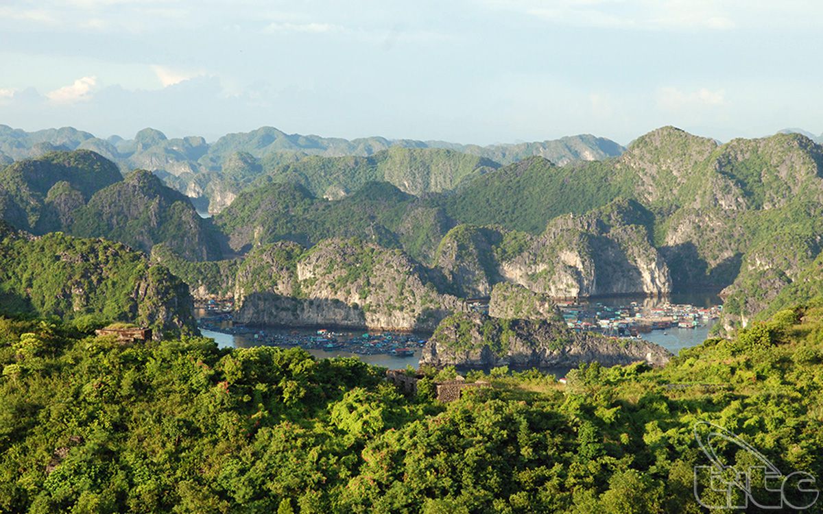 Chơi gì ở bãi biển Cát Bà, Cát Hải?- Ảnh 5.