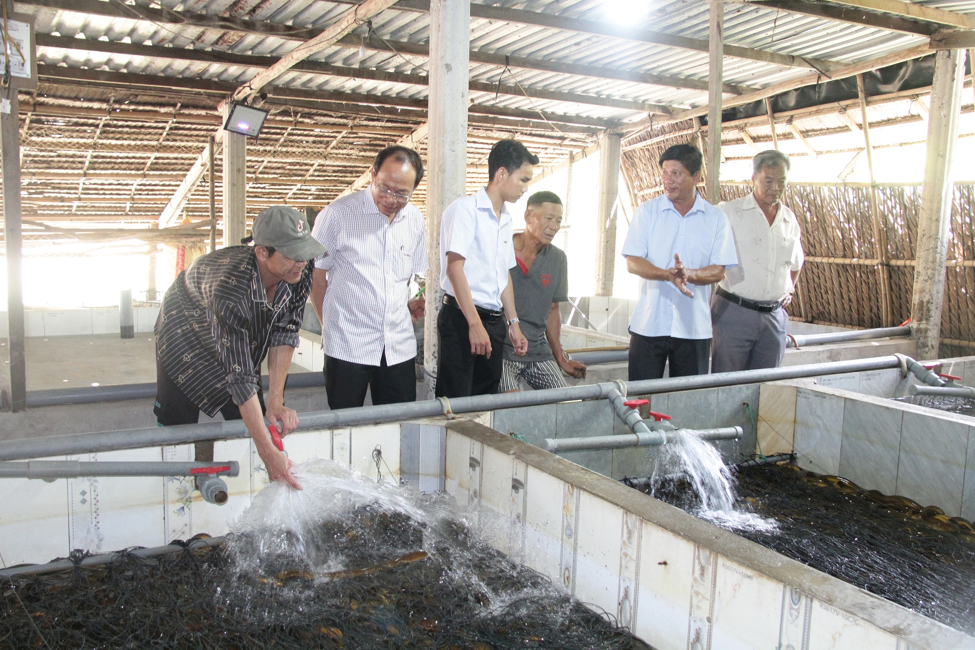 Hệ lụy từ việc sản xuất nông sản theo phong trào tại ĐBSCL năm 2026 - Ảnh 1.