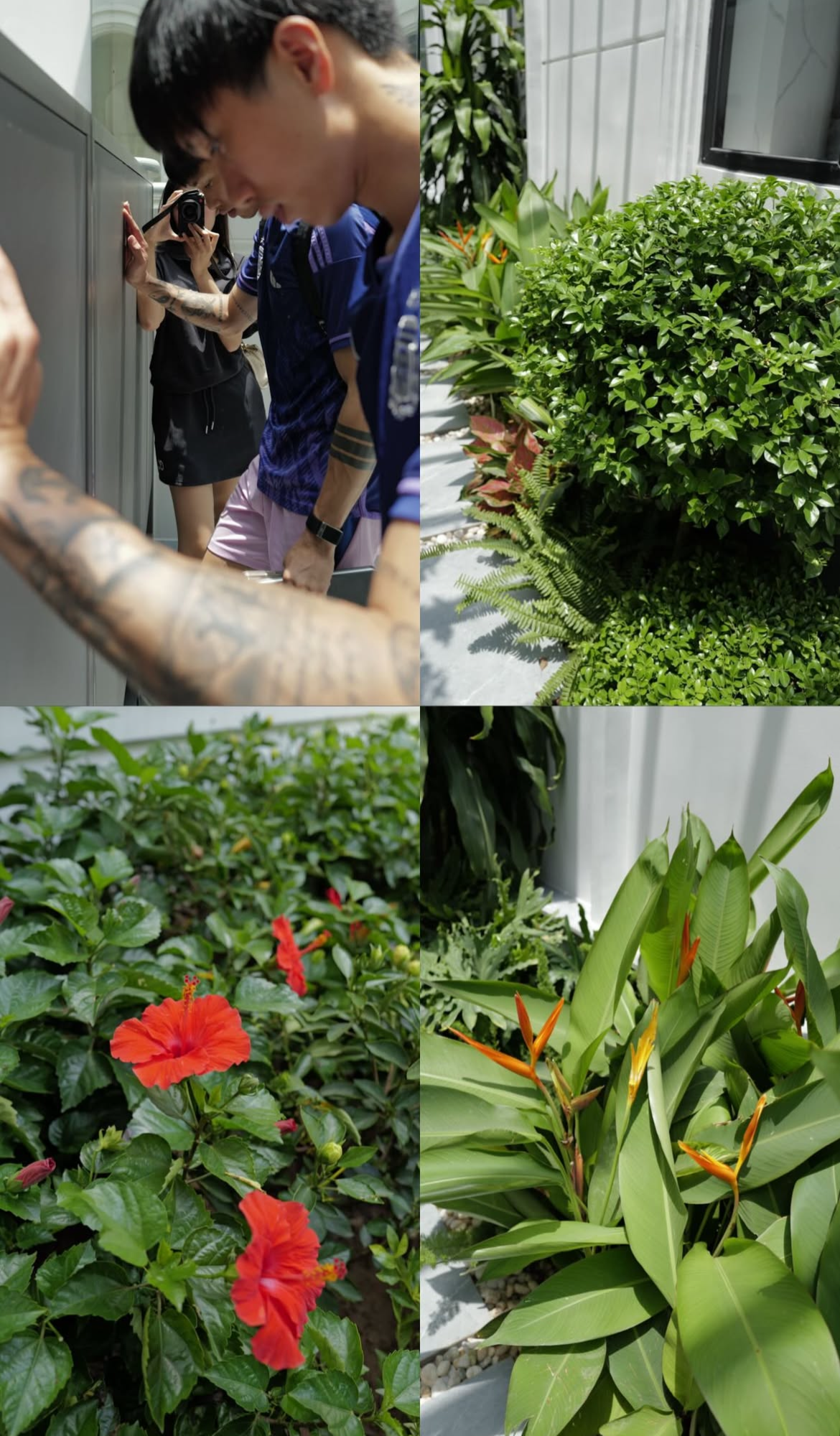 Tình trạng khu vườn ở biệt thự mấy chục tỷ tiết lộ sự thật về Doãn Hải My - Ảnh 7.
