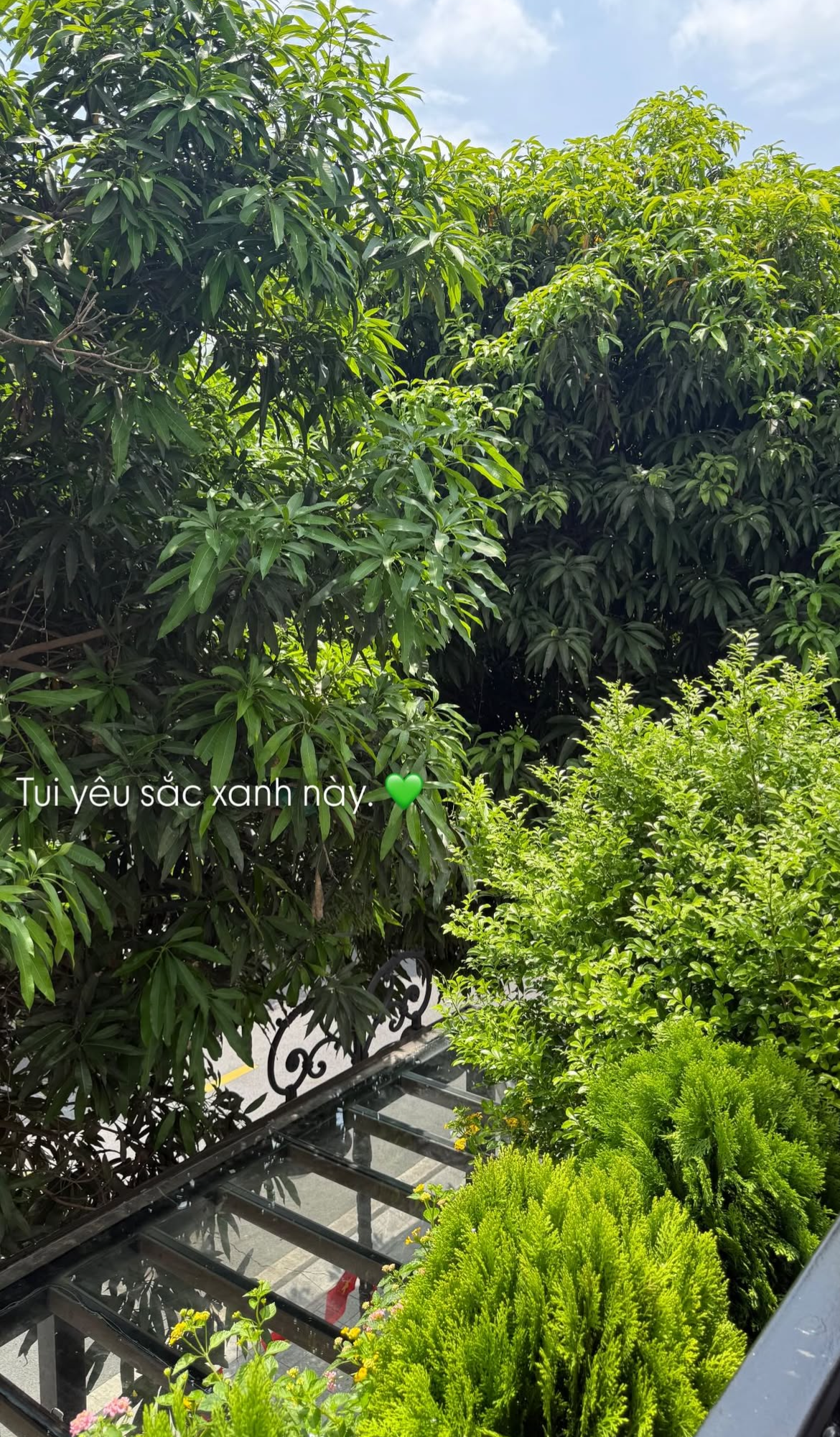 Tình trạng khu vườn ở biệt thự mấy chục tỷ tiết lộ sự thật về Doãn Hải My - Ảnh 21.