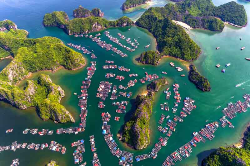 Chơi gì ở bãi biển Cát Bà, Cát Hải?- Ảnh 6.