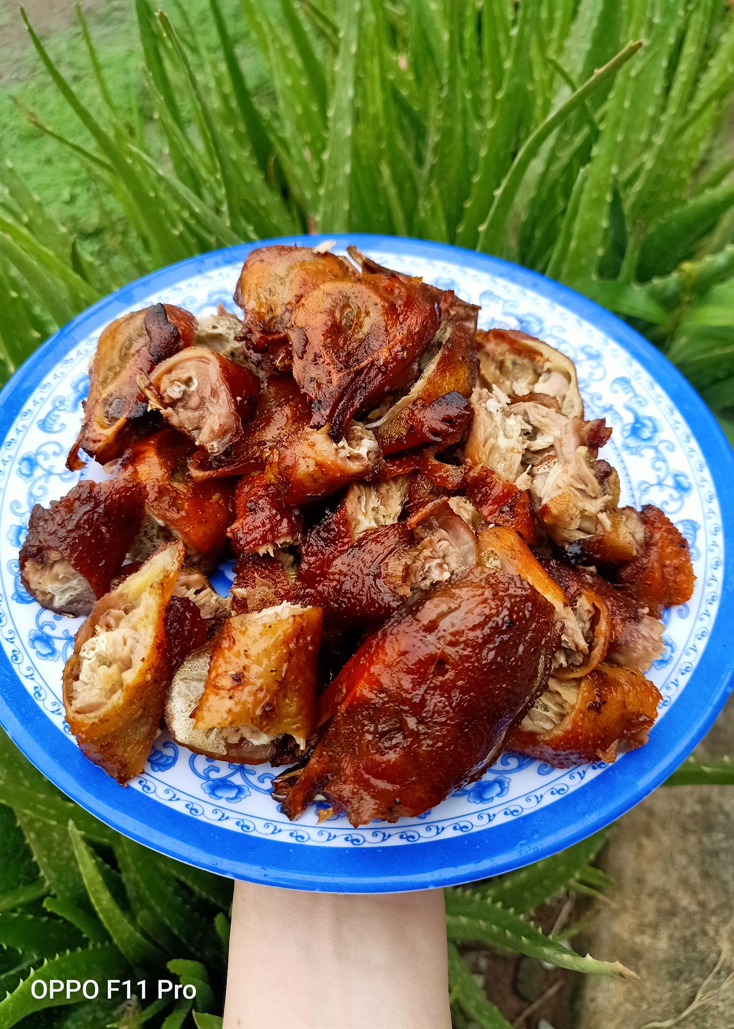 Khách Hàn ăn đầu gà, phao câu tại Việt Nam ngon đến nỗi chẳng muốn về- Ảnh 3.