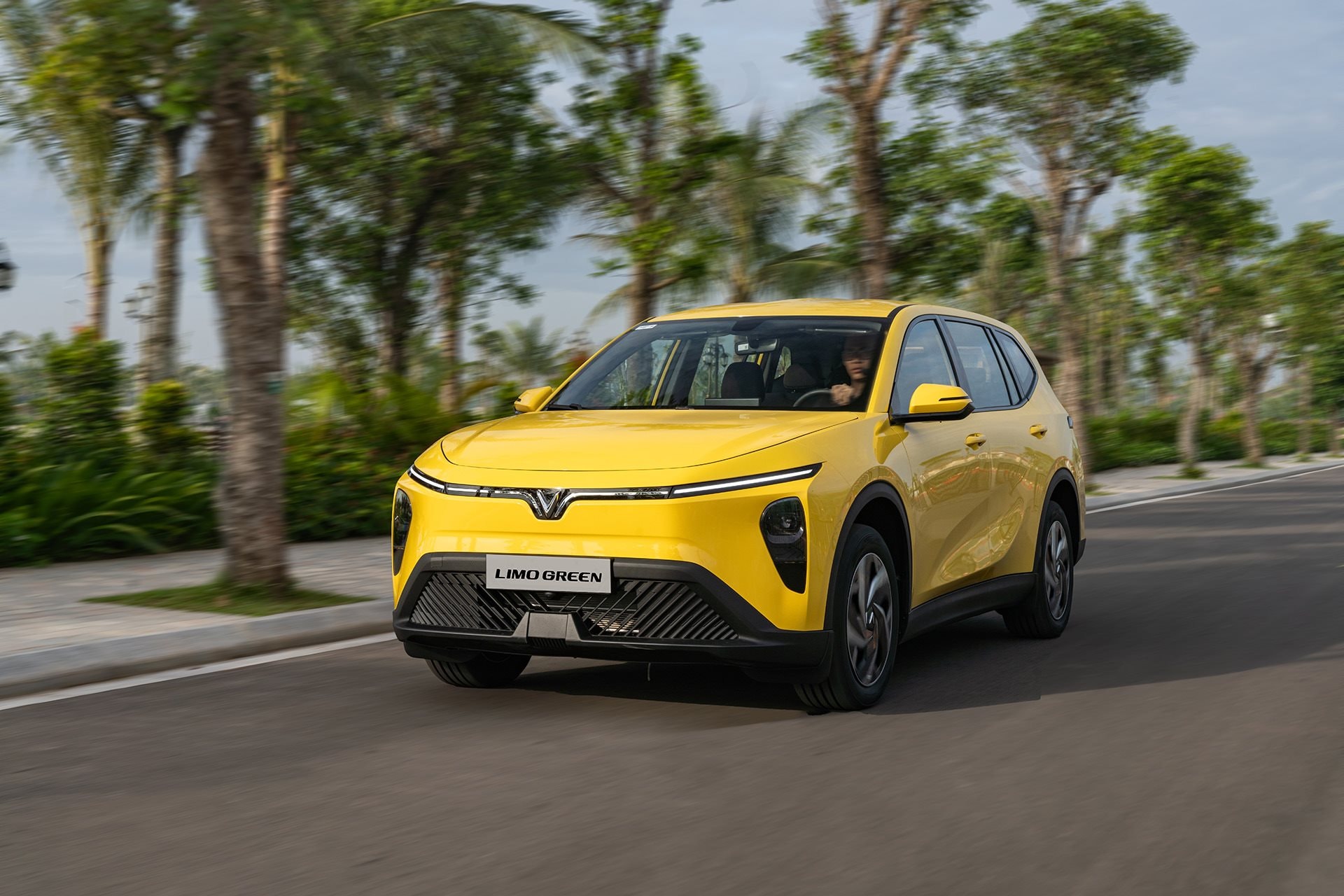 Bán xe 'mát tay' như tỷ phú Phạm Nhật Vượng: Mỗi ngày người Việt mua hơn 800 xe VinFast, Limo Green thành 'ngôi sao' mới - Ảnh 2.