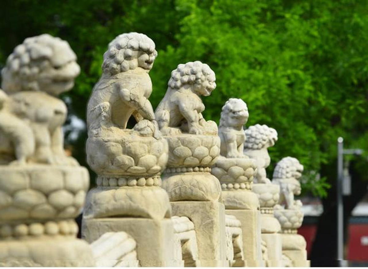 Ẩn ý kinh ngạc trong Tử Cấm Thành: Vì sao sư tử đá lại được khắc với đôi tai cụp?- Ảnh 3.