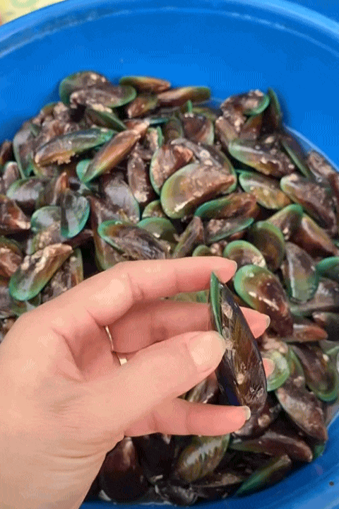 Chỉ với 100k, mẹ đảm Ninh Bình "cân" hết bữa ăn cho gia đình 5 người khiến hội chị em rần rần xin bí kíp- Ảnh 9.