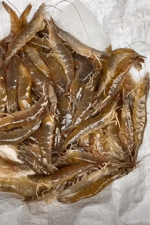 Chỉ với 100k, mẹ đảm Ninh Bình "cân" hết bữa ăn cho gia đình 5 người khiến hội chị em rần rần xin bí kíp- Ảnh 11.