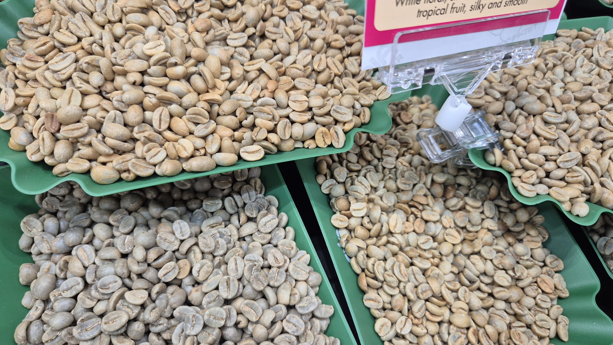 Giá cà phê hôm nay 14-5: Robusta tăng mạnh, doanh nghiệp Việt nổi bật ở thủ phủ cà phê Lào - Ảnh 1.