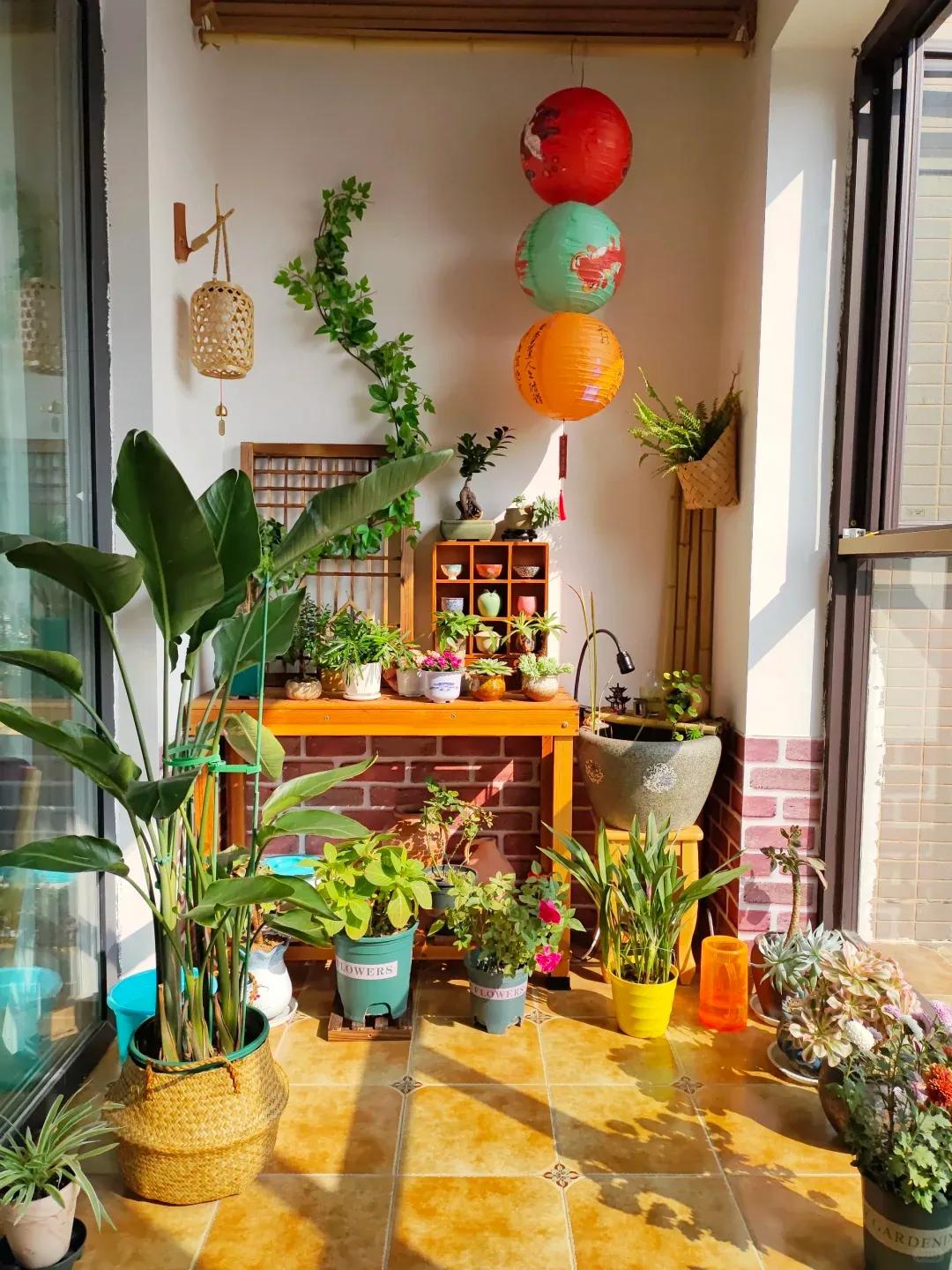 Cô gái trẻ chi 14 triệu đồng cải tạo ban công 6m² thành “khu vườn trên cao”: Nhìn xong chỉ muốn về nhà làm lại ngay - Ảnh 3.