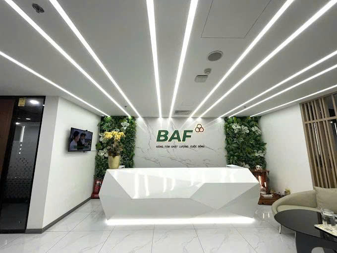 Baf Việt Nam nhận chuyển nhượng 25% vốn góp một doanh nghiệp chăn nuôi tại Gia Lai- Ảnh 1.